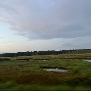 Meet your Posher, Penny